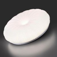 Потолочный светильник Sonex Anix 7678/FL