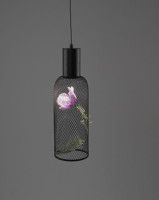 Подвесной светильник Moderli Ophelia V11873-PL