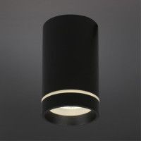 Потолочный светильник Aployt Edda APL.0054.19.10