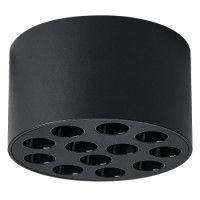 Потолочный светильник Lightstar Guarda 080947