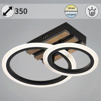 Потолочный светильник Reluce 00330-0.3-1+1