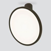 Накладной светильник Elektrostandard DLS029 12W 4200K черный матовый