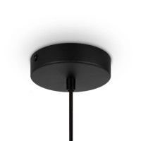 Подвесной светильник Maytoni Roots MOD193PL-01W