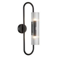 Настенный светильник Lumion Toronto 6561/2W