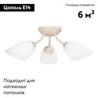 Потолочная люстра Vitaluce V3405/3PL