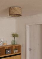 Потолочный светильник Eglo Butterburn 43935