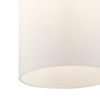 Подвесной светильник Freya Pitch FR5365PL-01CH