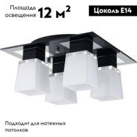 Потолочная люстра Lussole Lente LSC-2507-04