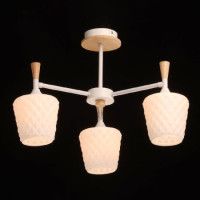 Люстра на штанге De Markt Дэла 635015003