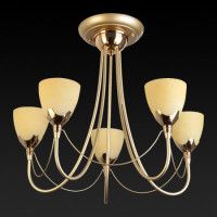 Потолочная люстра Toplight Lucia TL3630X-05MG