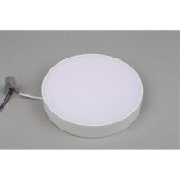 Потолочный светильник Aployt Evon APL.0113.09.24