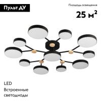 Потолочная люстра LED4U L3201-960 BK