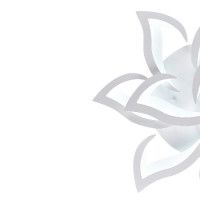 Потолочная люстра Natali Kovaltseva Olimp LED LAMPS 81224