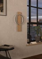 Настенный светильник Eglo Boyal 901715