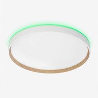 Потолочный светильник Citilux Etalon CL750400R