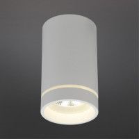 Потолочный светильник Aployt Edda APL.0054.09.10