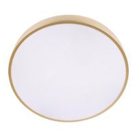 Потолочный светильник Loft IT Flims 10228/A