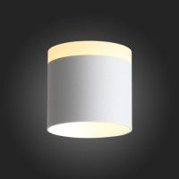 Накладной светильник ST Luce ST102.502.09