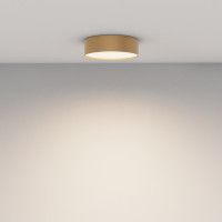 Потолочный светильник Maytoni Technical Ceiling Zon C032CL-24W4K-RD-MG
