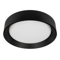 Потолочный светильник Loft IT Coin 10202 BB