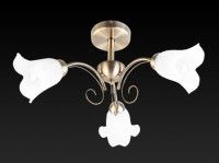 Потолочная люстра Toplight Magdalene TL3490X-03AB