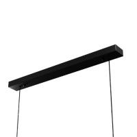 Подвесной светильник Lightera Tura LE103L-120B WIFI