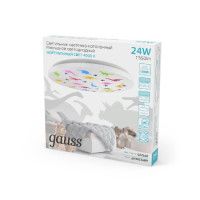 Потолочный светильник Gauss 941411224D