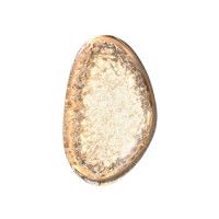 Настенный светильник Delight Collection MT9125-1W medium french gold