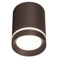 Потолочный светильник 20009 20009SMU/01LED CF