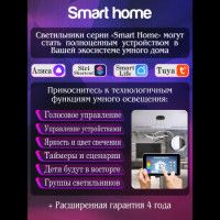 Потолочная люстра Natali Kovaltseva East LED SMART 84003