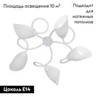 Потолочная люстра Vitaluce V3396/5PL