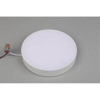 Потолочный светильник Aployt Evon APL.0114.09.24