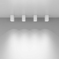 Потолочный светильник Elektrostandard 1085 GU10 WH белый матовый 4690389123917