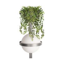 Настенный светильник Loft IT Jardin 10121W/B Dark grey