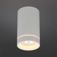 Потолочный светильник Aployt Edda APL.0053.09.10