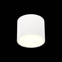 Потолочный светильник ST Luce Rene ST113.532.09