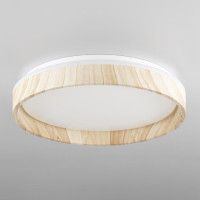 Потолочный светильник Citilux Enzo CL753352G