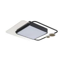 Потолочная люстра Escada Meridian 10225/SG LED