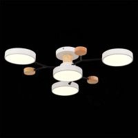 Люстра на штанге Evoluce Faema SLE6006-502-04