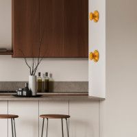 Настенный светильник Lightstar Celesta 809103