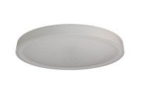 Потолочный светильник Zortes Bella ZRS.1200.09