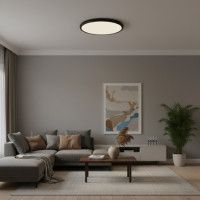 Потолочный светильник  LOFT IT Sweety 10454/500 Black