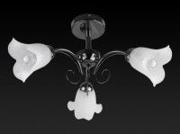 Потолочная люстра Toplight Magdalene TL3490X-03BC