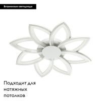 Потолочная светодиодная люстра Lumion Juna 4447/99CL