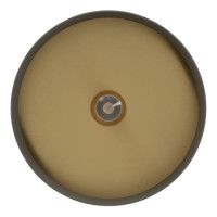 Потолочный светильник Eglo Duaia 900837