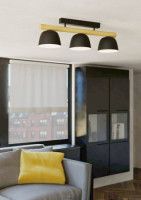 Потолочный светильник Eglo Sherburn 43738