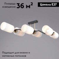 Потолочная люстра Illumico IL0809-6ASQ-25 BK AB NAPLES