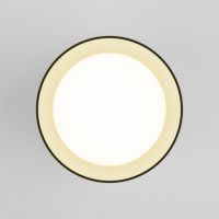 Потолочный светодиодный светильник Elektrostandard Topper DLR021 черный жемчуг 4690389167621