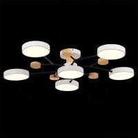 Люстра на штанге Evoluce Faema SLE6006-502-06