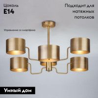 Потолочная люстра Bogates Pallada 293/6 Smart 00000082832